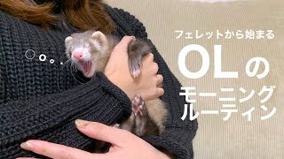 フェレットから始まる20代OLのモーニングルーティン【赤ちゃん】