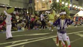 南越谷阿波踊り大会　2013　飛舞枝　流し３