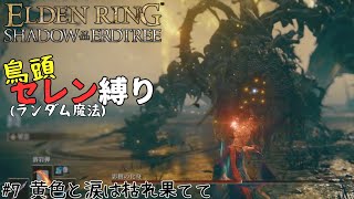 [eldenringDLC鳥頭セレン縛り]7話、この場所好きと言って嫌いになるまで物の数秒もかかりません