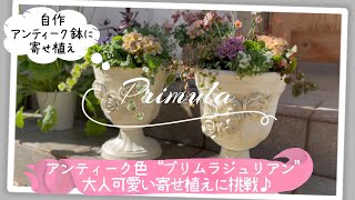 【寄せ植え＊プリムラ・ジュリアン】【春まで明るく華やかに♪】【大人可愛いアンティーク色】自作鉢/ガーデニング/春の花