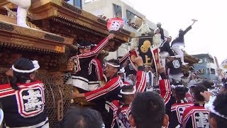 平成25年(2013)　泉大津濱八町だんじり祭　本宮　午後の曳行１