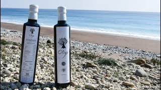 Uncovering the Secrets of Producing Authentic Greek EVOO!