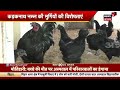 annadata तोरई की उन्नत तरीके से बुवाई पर तकनीकी सलाह torai ki kheti latest news top news