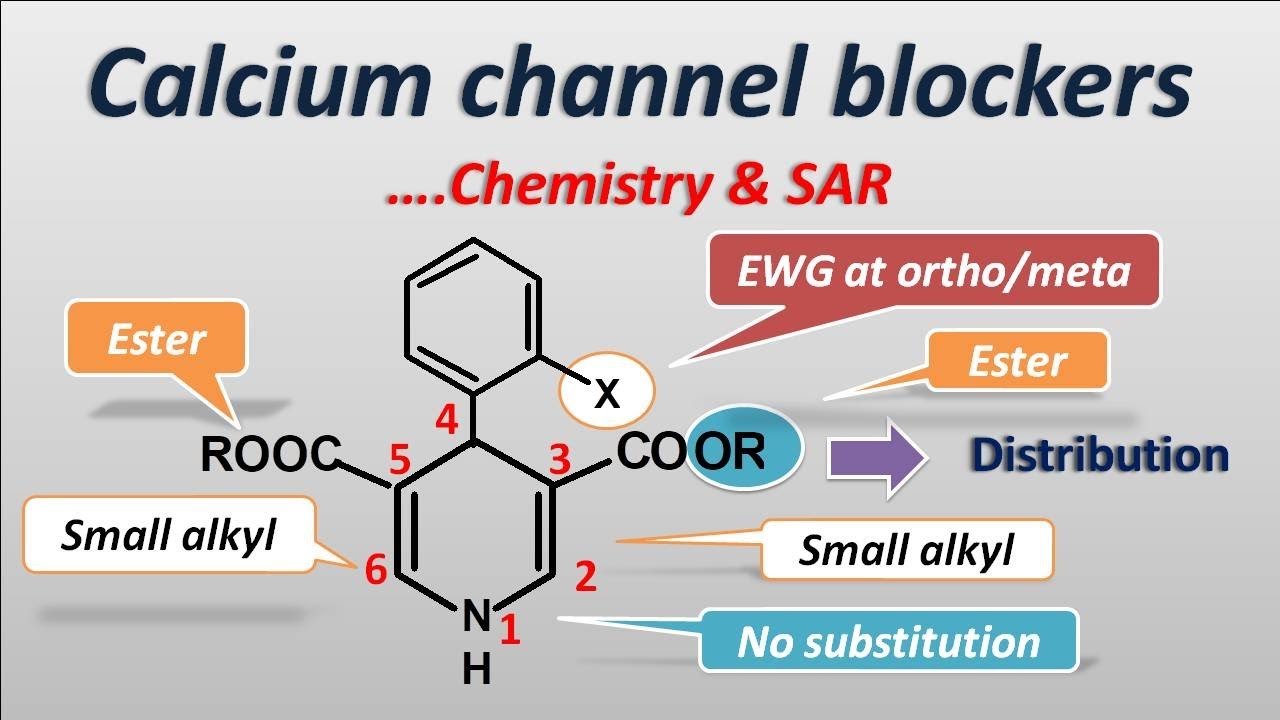 Calcium Channel Blockers | Chemistry And SAR - YouTube