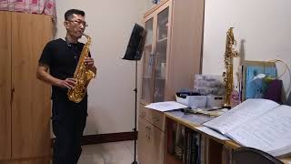 七情六慾~李翊君 中音薩克斯風練習 Alto saxophone