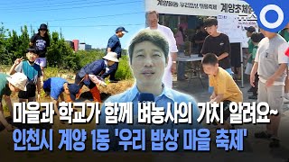 [웰컴 투 우리 동네] 마을과 학교가 함께 벼농사의 가치 알려요… 인천시 계양 1동 '우리 밥상 마을 축제'