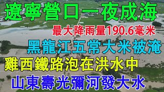 遼寧營口一夜成海，最大降雨量190.6毫米。黑龍江五常大米被淹，雞西鐵路泡在洪水裡。山東壽光彌河防汛形勢嚴峻。