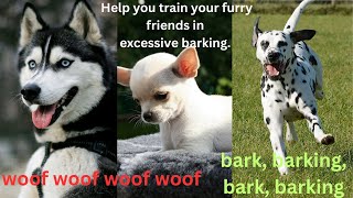 Help you train your furry friends in excessive barking.