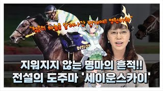 최강의 라이벌 사이에서도 빛나던 명마, '세이운스카이'