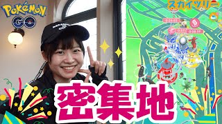 密集地‼︎ぶらぶら旅しながらポケ活in東京都