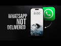 What to Do When WhatsApp Message Is Not Delivered on iPhone (explained)