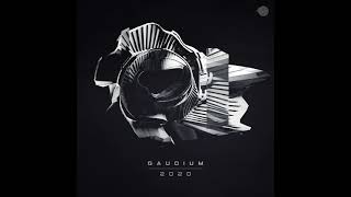 Gaudium - 2020