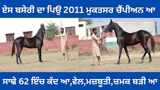 ਬਸੇਰੀ ਦਾ ਪਿਉਂ 2011 ਮੁਕਤਸਰ ਚੈਂਪੀਅਨ ਆ,ਉਦੇਪੁਰ ਪੈਲੇਸ ਲਾਈਨ ਦਾ,ਕੱਦ ਬਸੇਰੀ ਦਾ ਸਾਢੇ 62 ਆ,ਵੇਲ ਤੇ ਮਜ਼ਬੂਤੀ ਦੇਖੋ