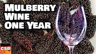 Mulberry Wine Tasting - Is this REALLY WINE AT ALL?