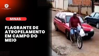 Flagrante de atropelamento em Campo do Meio