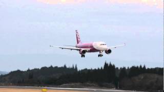 鹿児島空港 2015/01/14 Peach Airbus A320-214