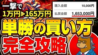 【完全版】競馬初心者でも単勝を極めるだけで回収率120%を狙えます【競馬投資】