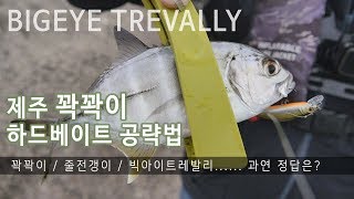 Jeju Island bigeye trevally! Hard Bait Lure If one game ends! But...