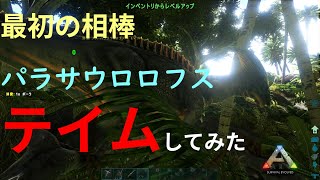 【アーク実況】初心者向けパラサウロロフステイムしてみた