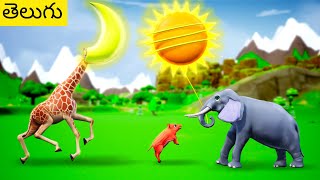 సూర్యుడు మరియు చంద్రుడు - Funny Animals Elephant Giraffe 3D Videos | Giraffe Stealing the Moon \u0026 Sun