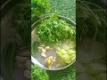 amla chutney gooseberries chutney how to make amla chutney spicy gooseberries chutney recipe