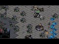 💥best of five💥 bisu 🇰🇷 p vs flash 🇰🇷 t starcraft brood war remastered