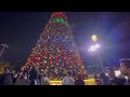 tallest christmas tree at al seef dubai creek christmas vibe in dubai walking tour