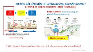 Khi nào bắt đầu sử dụng thuốc điều trị loãng xương ở bệnh nhân loãng xương có gẫy xương