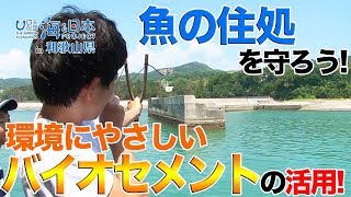 ひらめき ときめき サイエンス 日本財団 海と日本PROJECT in 和歌山県 2019 #14