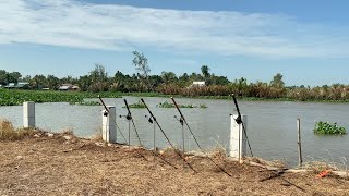 Câu Cá Tra Sông | Bãi Câu Đẹp Và Cái Kết Có Pen Luôn | Fishing Miền Tây