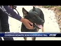 Governor DeSantis signs K9 emergency bill