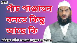 পাঁচ পাঞ্জাতন ইসলামের মধ্যে কোন কিছু আছে কি শাইখুল হাদীস আল্লামা মামুনুল হক দাঃবাঃ। Bangla Mohan TV