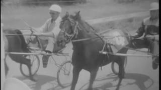 Harness racing event, 1969