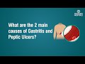 What are the 2 main causes of Gastritis and Peptic Ulcers?