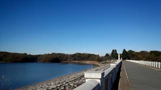 【狭山湖】気分爽快 快晴 ぐるり 一周 紅葉 狭山湖