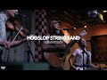 Hogslop String Band - Reuben's Train - Live at Acme Feed & Seed