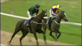 Cilaos Glace wins impressively at Fontwell Park under Leighton Aspell - 16/03/19