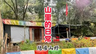 隐居山野，天气浙浙寒冷山里也入冬了，忙完其他事回山继续搞建设#我的乡野山居生活