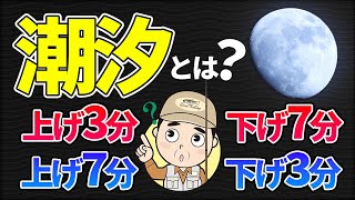 【潮汐】タイドグラフ（潮見表）から釣れる時間を読むことができる