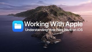 How to Use Apple's Files App on iOS13
