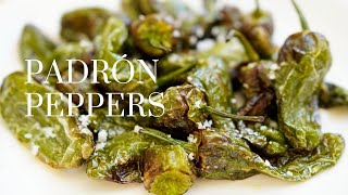 Pimientos de Padrón Recipe パドロンペッパーの作り方 (Spanish padron peppers) 超簡単‼︎スペイン全土で食べられている定番中の定番タパス