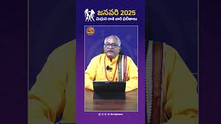 Mithuna Rashi | మిధునరాశి జనవరి 2025 ఫలితాలు | Gemini January 2025 Horoscope