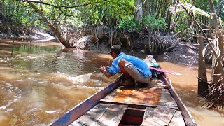 udangnya bukan main banyaknya,umpan lebih dari cukup.lanjut mancing lagi.