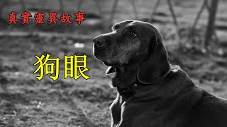 《真实灵异故事》狗眼