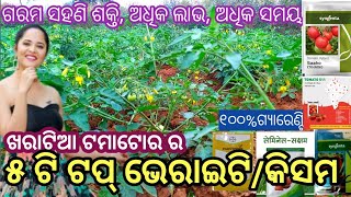 ଖରାଟିଆ ଟମାଟୋର ର ୫ଟି ଟପ୍ ଭେରାଇଟି// ଖରାଟିଆ ପାତଲଘଣ୍ଟା ଟପ୍ କିସମ //Summer Tomato Top 5 Variety