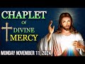 🙏TODAY'S Divine Mercy Chaplet Monday November 11 2024 🙏