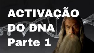 ACTIVAÇÃO DO DNA 1