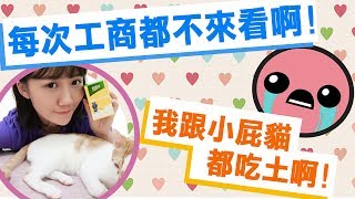 ♥蝴蝶兒♥愛開箱 你們最好都不看我工商阿！我就吃土阿！｜By 阿晏