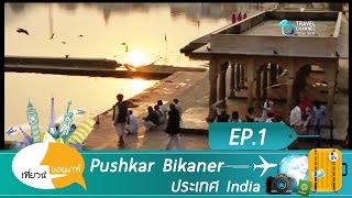 เที่ยวนี้ขอเมาท์ ตอน Pushkar+Bikaner ประเทศอินเดีย Ep 1