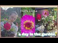 Korean Garden /Flower arrangement / South Korea/ Birthday message / Myhojuseoul /호주사람